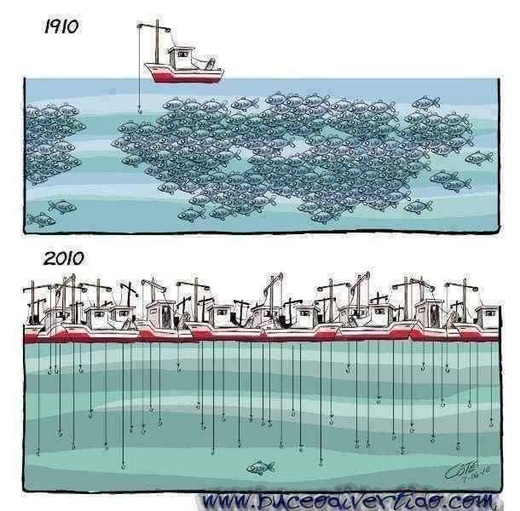 before_&_after_41.jpg