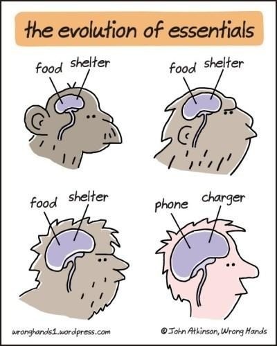 before_&_after_60.jpg