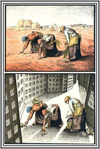before_&_after_66.jpg